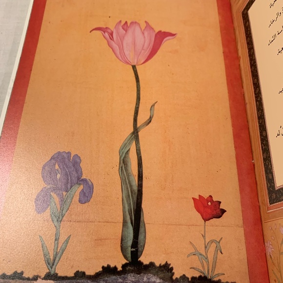 Healing Light Arabic Edition by Borchgrave - Picture 6 of 11